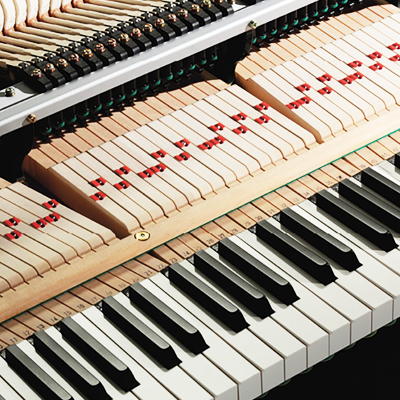 評論：卡瓦依 GX：進化還是革命？