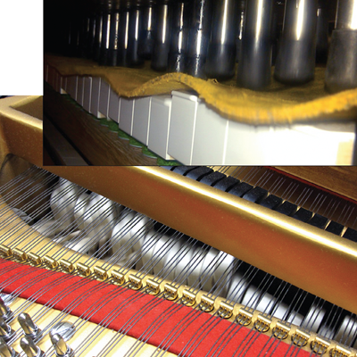 施坦威公司的“即刻完成”改進 攝影作品