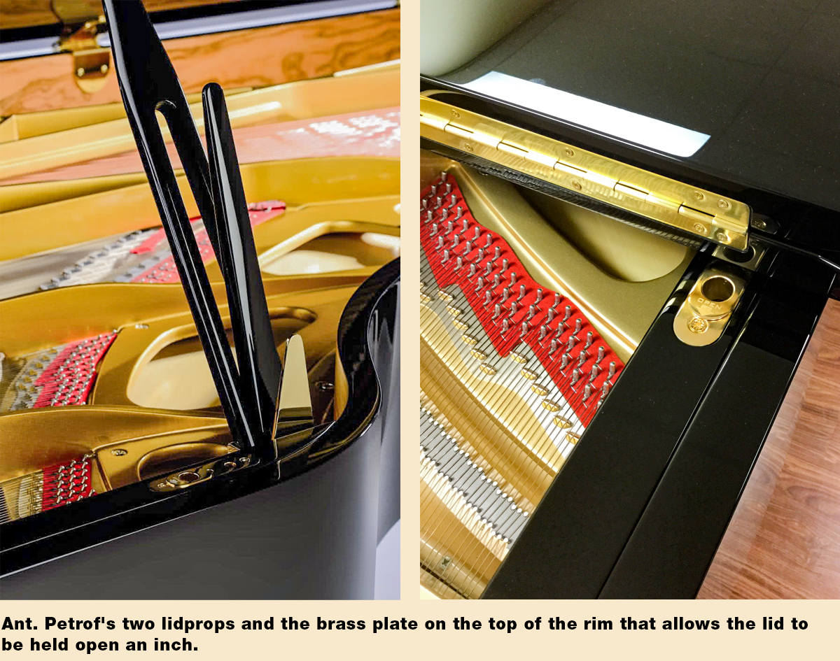 3 2019-Petrof-lidprops.png