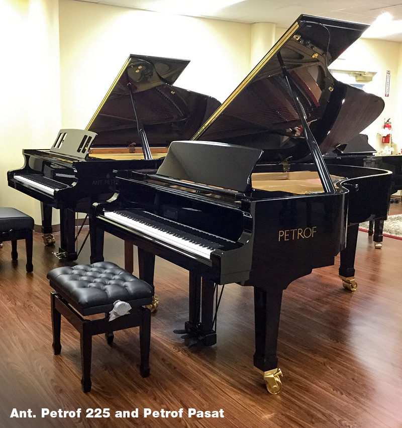 4 2019-Petrof-225vsPasat.png